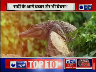 चिड़ियाघर में जानवरों के 'विंटर वेकेशन'