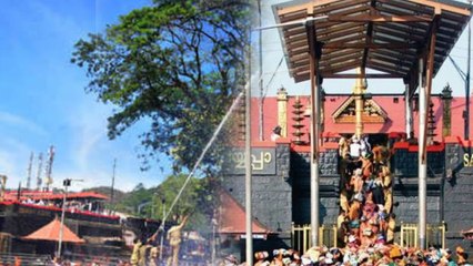 சபரிமலையில் ஆலமரம் தீப்பிடித்து எரிந்ததால் பரபரப்பு