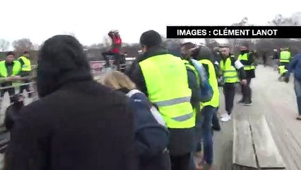 Fransa, Sarı Yelek eylemindeki boksörü arıyor