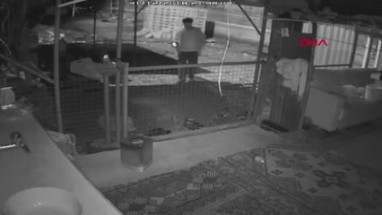 Antalya Bal Hırsızı Güvenlik Kamerasına Yakalandı