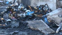 Roma, emergenza sanitaria: rifiuti per strada, ratti nelle scuole