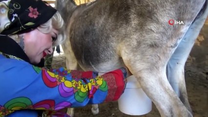 Mardinli Marilyn Monroe Eşek Sütü Sabunuyla Yurt Dışına Açılacak