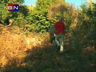 Nijesmo mi od juce  - Klopka