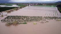 Ceyhan Nehri'nin taşması sonucu tarım alanları ve evleri su bastı - ADANA