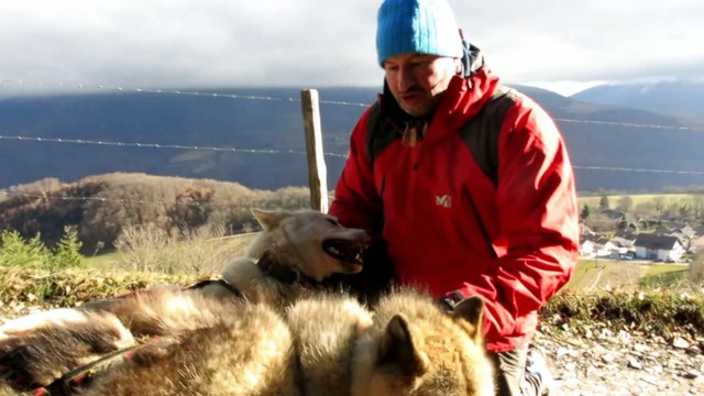 Isère | Daniel Chomette, musher, se prépare pour La Grande Odyssée