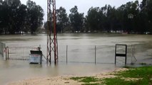 Ceyhan Nehri'nin taşması sonucu tarım alanları ve evleri su bastı (2) - ADANA