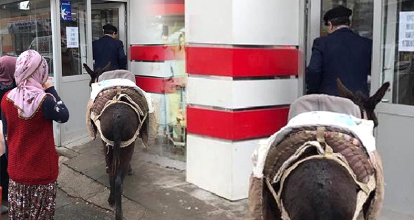 Paralı Poşeti Protesto İçin Alışverişe Eşekle Gitti