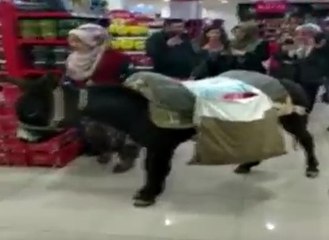 Poşet yoksa eşek var