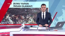 Kedinin Patilerini Kesip, Yaktılar!
