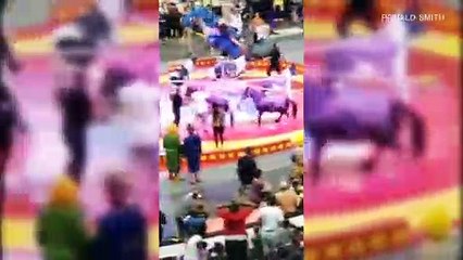 Download Video: Verschrecktes Kamel läuft in Zirkus Amok