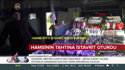 Hamsinin tahtına istavrit oturdu