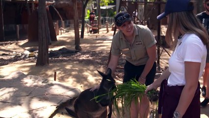 Simona Halep’ten hayvanat bahçesi ziyareti