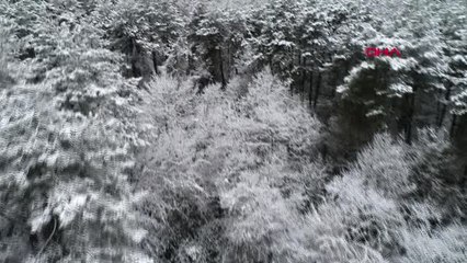 Kocaeli'nin Yüksek Kesimleri Karla Kaplandı