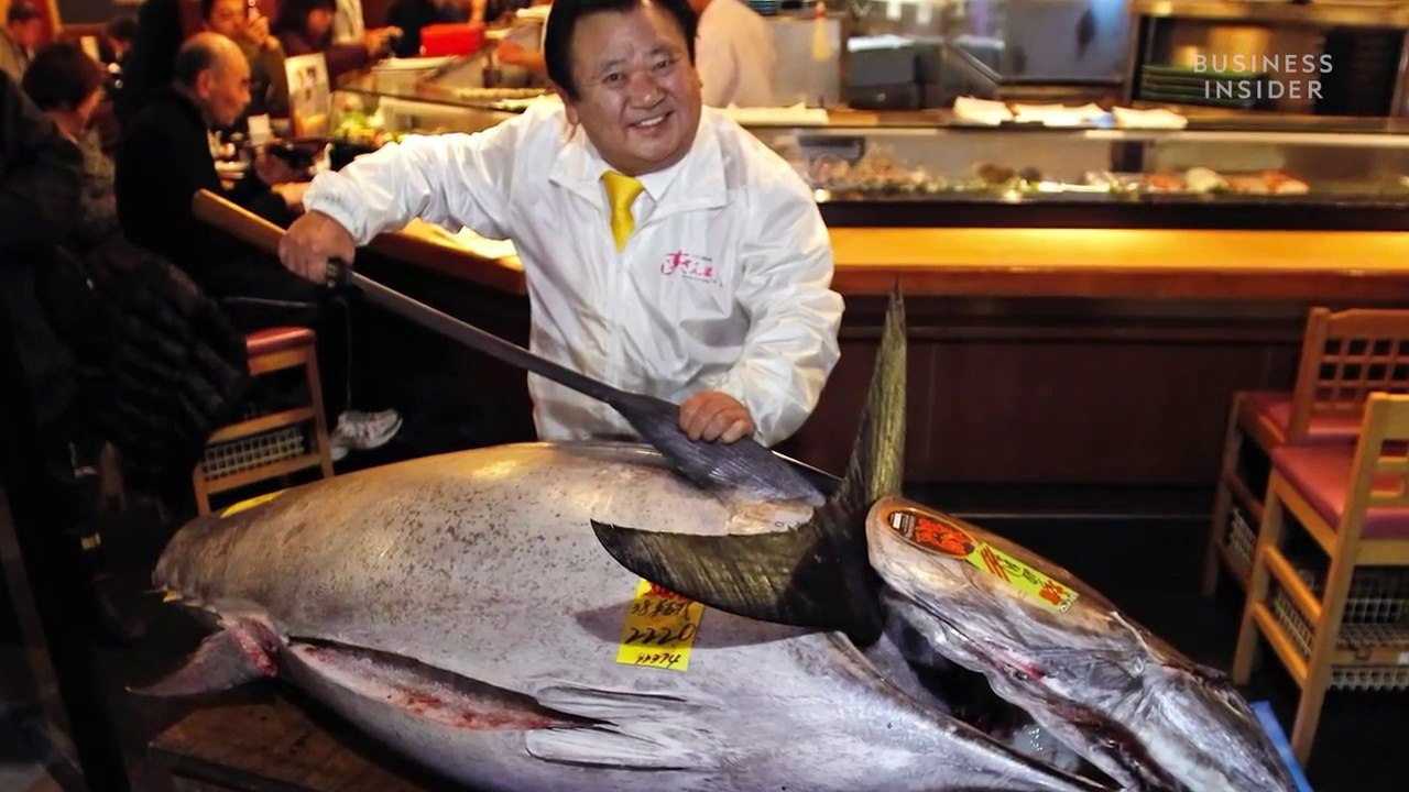 Why Bluefin Tuna Fish So Expensive Sold 1.8M video Dailymotion
