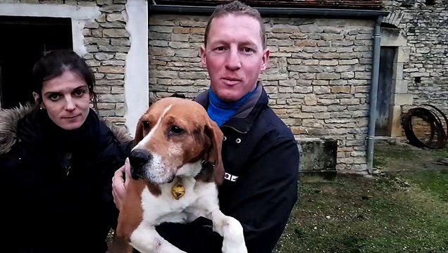 Chiens coincés à Grésigny-Sainte-Reine sauvés , réaction des propriétaires