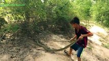 Primitive Boys Saves Chicken From Python Attack  ​ Giant Python Attack In the farm