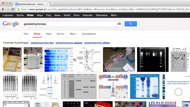 Wie werde ich gesund - wie finde ich den passenden Arzt