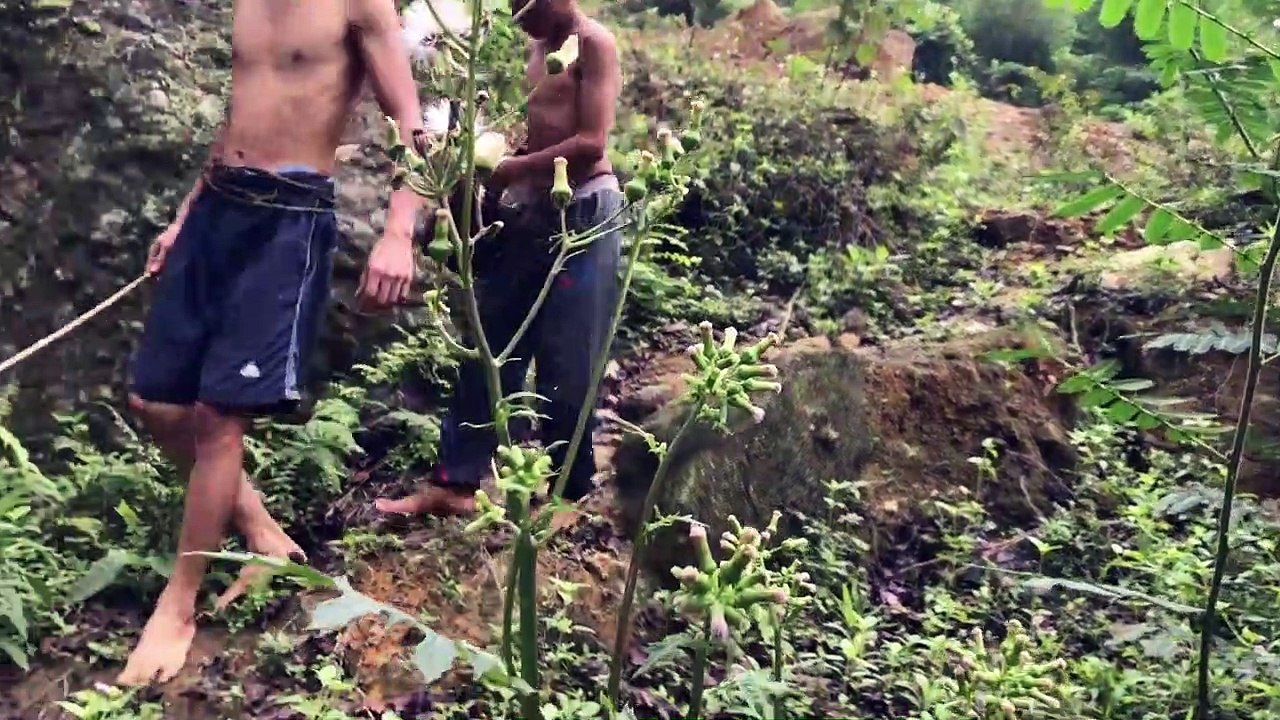 Primitive Technology- Freshwater Fish Trap
