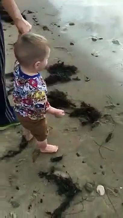 Ce bébé se fait tacler à la plage par un chien fonçant à pleine vitesse !