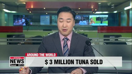 280kg Bluefin tuna nets $3.1 million at Tokyo auction