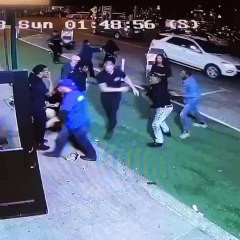 jiu-jitsu em ação police american