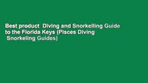 Best product  Diving and Snorkelling Guide to the Florida Keys (Pisces Diving   Snorkeling Guides)