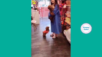 Cute Dogs and Cats Doing Funny Things | New  Funny Videos