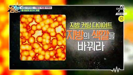 [예고] 스타 유튜버 제이제이와 함께하는 '지방커팅' 다이어트