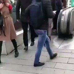 Cat blocking way of public in market , what react of people?must to watch it ..