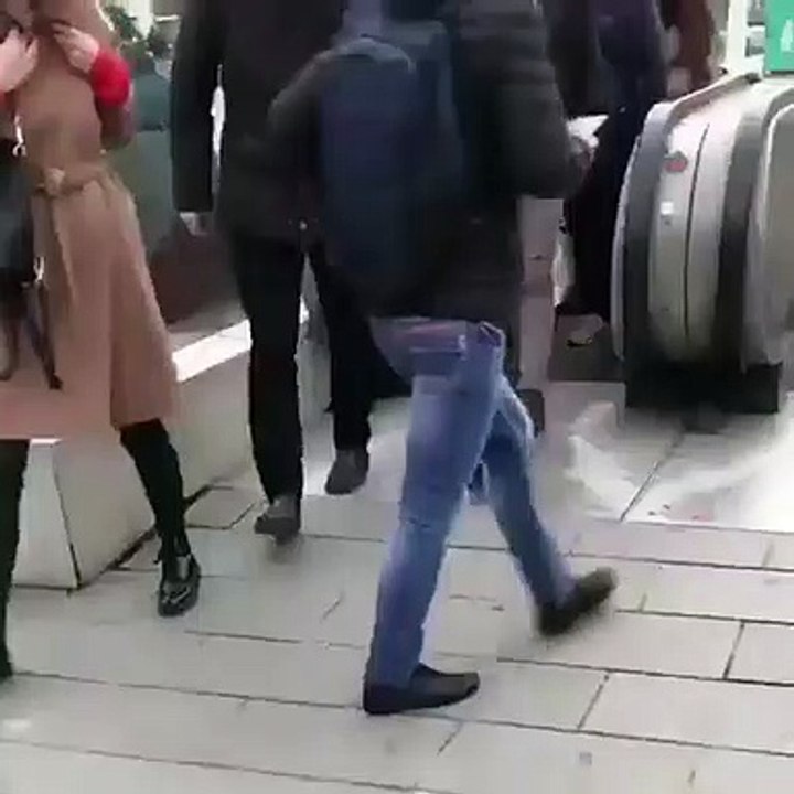 Cat blocking way of public in market , what react of people?must to watch it ..