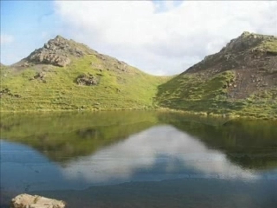 Ecosse 2007
