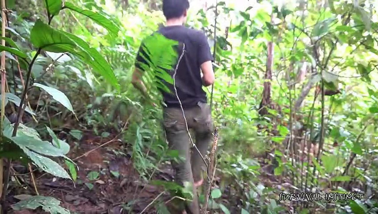 Survival Instinct - How to trap fish in streams