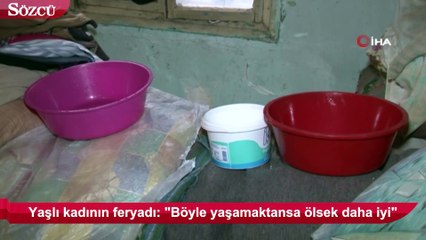 Yaşlı kadının feryadı: "Böyle yaşamaktansa ölsek daha iyi"