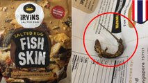 Cicak krispi ditemukan di kulit ikan Irvins Salted Egg - TomoNews