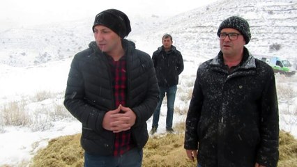 Hayvanseverler yaban hayvanları için doğaya yem bıraktı - AFYONKARAHİSAR