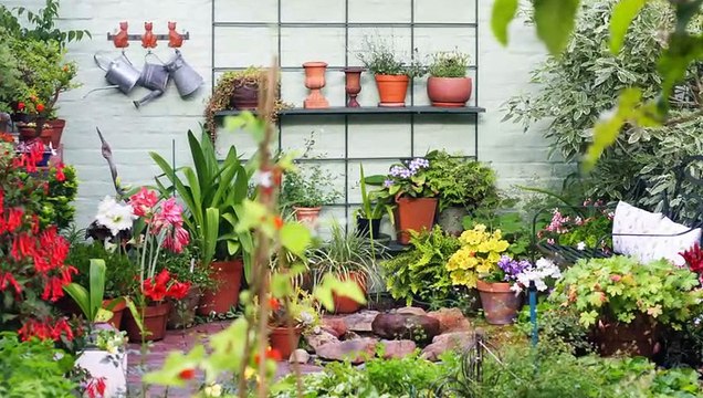 Emergency Tree Removal Services