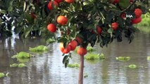 Şiddetli yağış sonrası tarlalar sular altında kaldı...Göle dönen tarım arazileri havadan görüntülendi