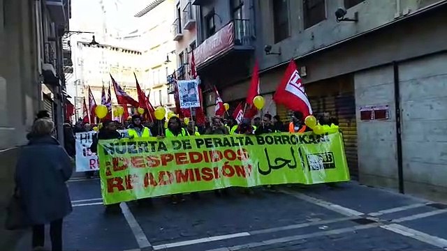Manifestación de los trabajadores de Huerta de Peralta por Pamplona