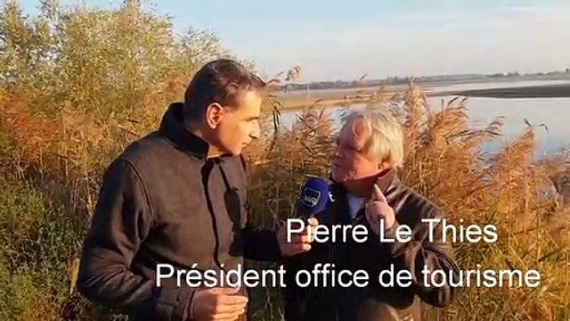 Le réveil des grues cendrées sur le Lac du Der.