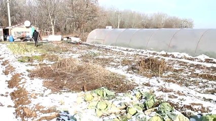 Dondurucu Soğukta Geçim Mücadelesi