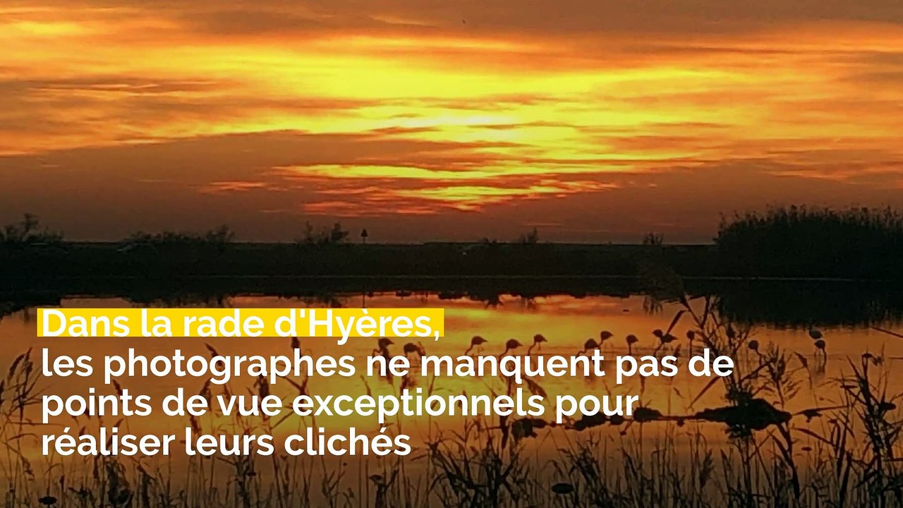 Spots photos, Plage démolie, Boxeur en garde à vue: voici votre brief info de ce lundi après-midi