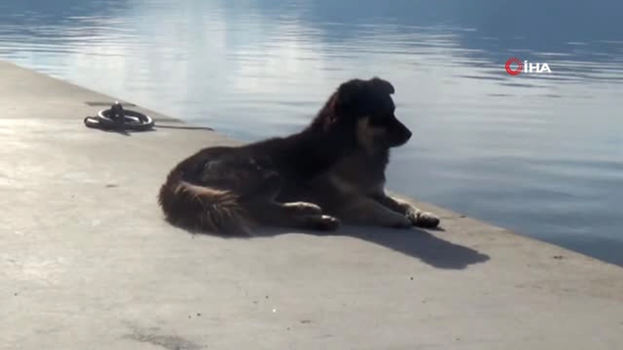 Kışın Gelmesiyle Plajlar Onlara Kaldı