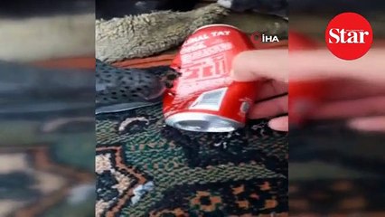 Teneke yiyen balık şoke etti