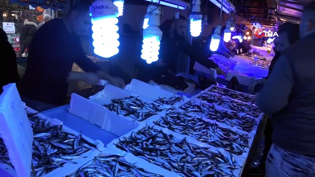 Mutlu: Hamsi sularımızı iklimsel nedenlerden ötürü erken terk etti. Hamsi avı için tekneler Gürcistan’a gitti”