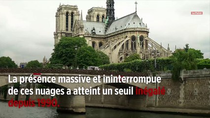 À Paris, un début 2019 dans les nuages
