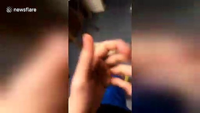 Dog hilariously falls backwards in failed attempt to catch treat