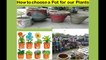 4 your garden: Picking the right pots for your plants | Humay apnay phoday ko kis gamlay maiy lagana chahiay |