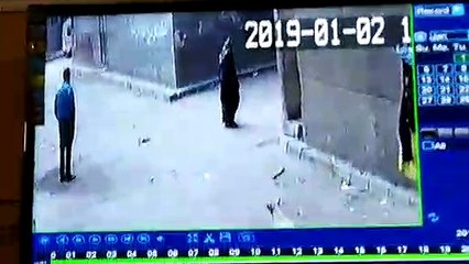 كلب يرتكب جريمة فى حق طفل بمصر القديمة