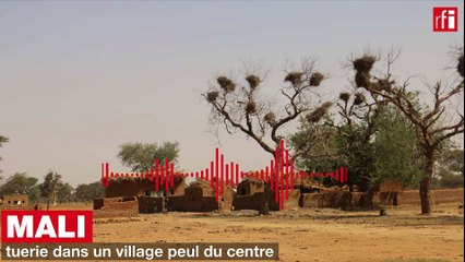 Mali : tuerie dans un village peul du centre