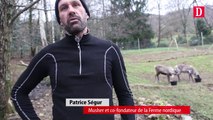 Les nouveaux rennes de la Ferme nordique